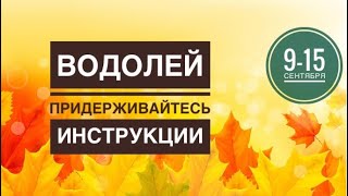 Водолей ♒️ 9-15 сентября 2024 года 🗝🌈🍀✨☀️Таро Ленорман прогноз предсказания