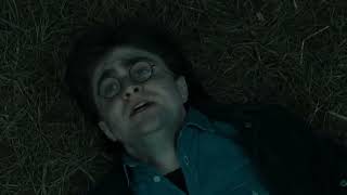 The Story of Harry Potter and the Deathly Hallows™ Part I