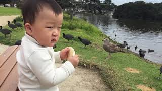 Baby with Birds