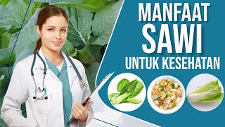 Manfaat sawi untuk kesehatan