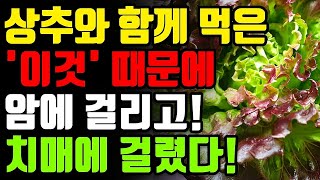 상추와 절대로 함께 먹지마세요! 암과 치매에 걸릴 수 있습니다! 상추 함께 먹으면 보약보다 좋은 3가지 만성염증 독소 싹 사라지는 레시피 [불면증 골다골증 관절염 효능 건강 정보]