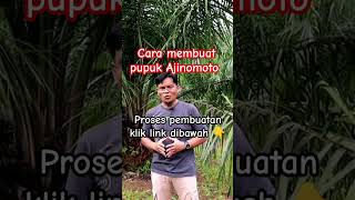 manfaat Ajinomoto untuk sawit #shortvideo #kelapasawit #ajinomoto