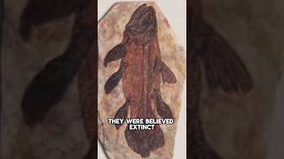 The Coelacanth was thought to be Extinct, but it isn't.