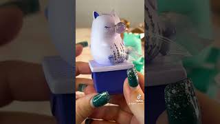 Cat Mystery Figure Blind Box Unboxing