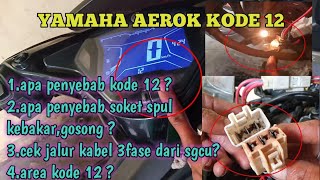 PENYEBAB KODE MIL 12 YAMAHA AEROX,LEXI & PENYEBAB SOKET SPUL RENTAN KEBAKAR