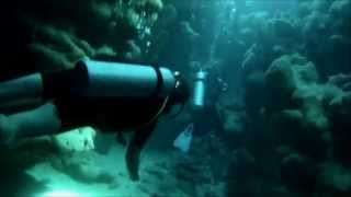 Scuba Diving - Egypt, Marsa Alam, Abu Dabab (11/2014)