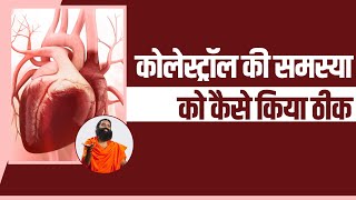 कोलेस्ट्रॉल की समस्या (Cholesterol Problem) को कैसे किया ठीक || Swami Ramdev