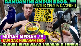 CUMA 2rb SAJA KOK ‼️ BEGINI CARAKU KE SEMUA KACER KETIKA PAKAI RAMUAN INI || Ramuan Untuk Kacer