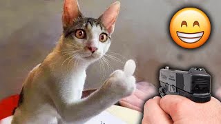 New funny animals 😂 Funniest cat and dog videos 😹🐶 Part 3