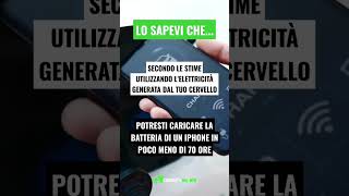 🔋 Conoscevi questa curiosità sul tuo cervello?