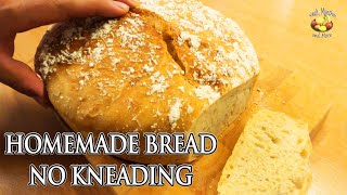 Homemade Bread | Delicious & Easy | No Kneading | No Parchment Paper