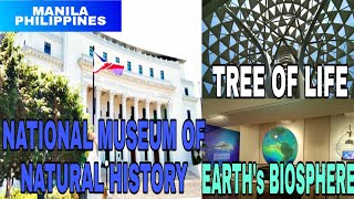 NATIONAL MUSEUM OF NATURAL HISTORY | MANILYN JOHNSON #ManilaUpdate #Philippines