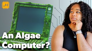 This Computer Ran on Algae for Six Months!