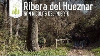 🌄 Senderismo ribera del Hueznar y cascadas 🌲 Cinematic Riverside of Hueznar 🌿