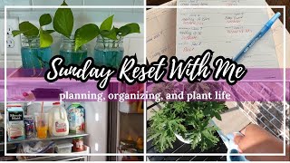 *NEW* Summer Reset Routine: Planning For June And Getting It All Done!