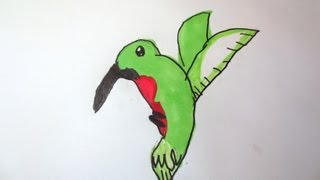 6 Year Old Draws A Hummingbird