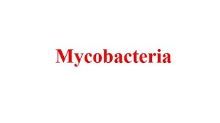 Microbiology 2 ; Lec 4 ; Mycobacteria