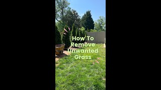 How To Remove Unwanted Grass Using A Sod Cutter ✂️✂️✂️