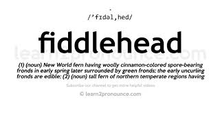 How to pronounce Fiddlehead | English pronunciation