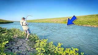 What's Living In This Canal After RECORD FLOODING?!? (Not Good)