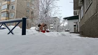 Упала камера, закаливание холодной водой . Обливание.