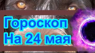 Гороскоп на 24 мая / астрология / все о знаках зодиака /  на завтра / на каждый день