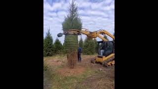 Dutchman Industries tree tyer