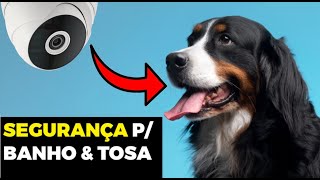 O GUIA COMPLETO! proteja seu PETSHOP com sistema de CFTV