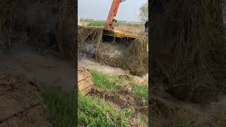 Excavator cleaning everyday 🌿🌴🍀 #Short #RC