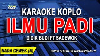 ILMU PADI- Karaoke Koplo Nada Wanita (Didik Budi Ft Sadewok)