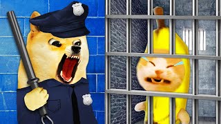 Escape from Prison: Banana Cat's Unforgettable Jailbreak! 🐱 Baby Banana Cat Compilation | Cat MEME 😿