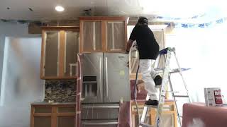 Kitchen Cabinet Painting