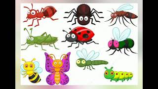 Learn insects name in both English and Tamil for kids....