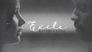 Katniss & Cinna | Exile