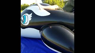 Riding the Inflatable World 5-Meter Black Whale