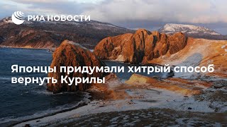 Хитрые японцы придумали способ вернуть Курилы