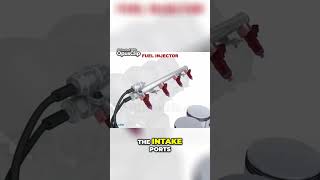 Fuel Injector  How They Work and Installation Options