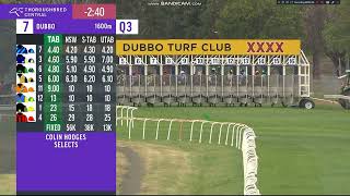 2024 Dubbo Gold Cup