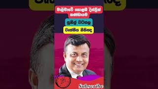 ආචාර්ය හරිනි සමග මාලිමාවේ කොළඹ දිනවන සෙට් එක #npp #jathikajanabalawegaya #malimawa  #election2024