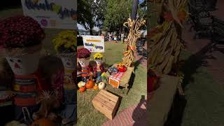 Halloween Decorations at the square