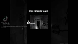 Is there a demon in the tunnels of Pennhurst Asylum 👀 #paranormalofwatertown #pennhurstasylum