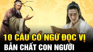 10 Câu Cổ Ngữ Đọc Vị và Lột Trần Bản Chất Con Người cùng Sự Thật Cuộc Sống