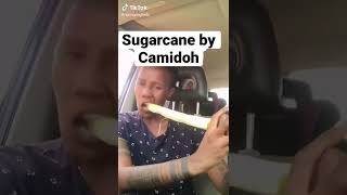 Sugarcane by CAMIDOH #Fanlove #Sugarcane￼