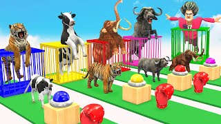 Cow Tiger Mammoth Elephant Bull Dinosaur vs Scary Teacher Choose The Right Button Wild Animals  Game