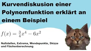 Abituraufgabe: Kurvendiskusion einer Polynomfunktion ausführlich an einem Beispiel erklärt