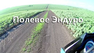 Дорога к Харьковским полям - эндуро покатушка на SHINERAY XY200GY-6C