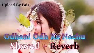 Odhani Odh Ke Nachu | Slowed + Reverb | Tere Naam | Udit Narayan | Alka Yagnik | Sameer |Salman Khan