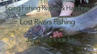 Spring Fishing Report & Hatchery