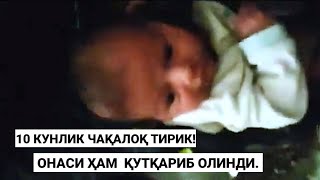 Туркия: 10 кунлик чақалоқ ва онаси вайроналар ичидан тирик чиқди! Turkiya zilzila | Suriya zilzila