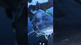 Blue Catfish Telling Us She Needs Air #fishingchannel